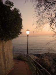 nervi